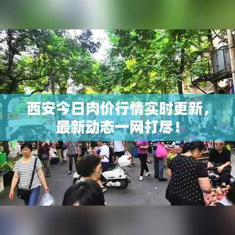 西安今日肉价行情实时更新，最新动态一网打尽！
