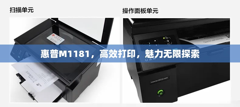 惠普M1181，高效打印，魅力无限探索