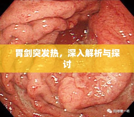 胃剑突发热，深入解析与探讨