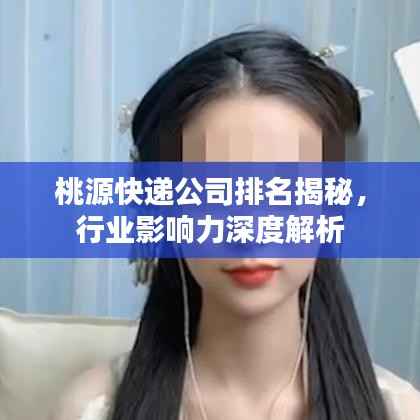 桃源快递公司排名揭秘，行业影响力深度解析