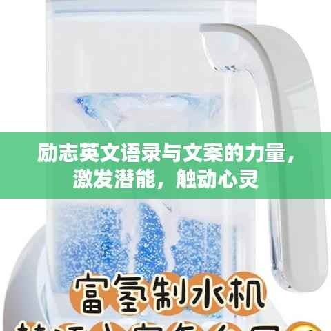 励志英文语录与文案的力量，激发潜能，触动心灵