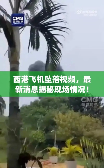 西港飞机坠落视频，最新消息揭秘现场情况！