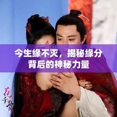 今生缘不灭，揭秘缘分背后的神秘力量