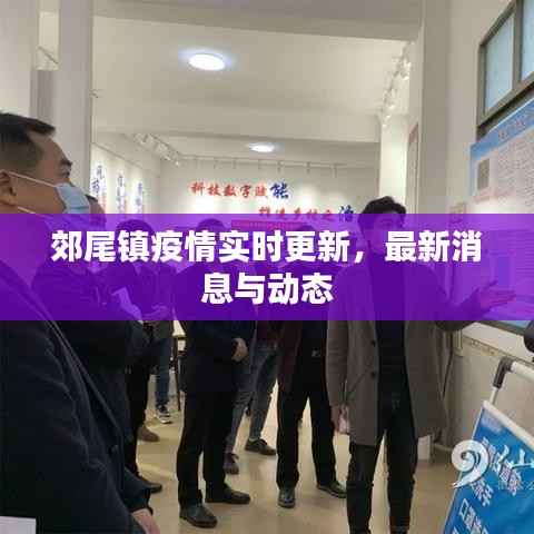 郊尾镇疫情实时更新，最新消息与动态