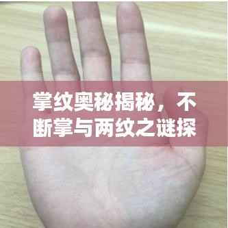 飞燕化龙 第3页