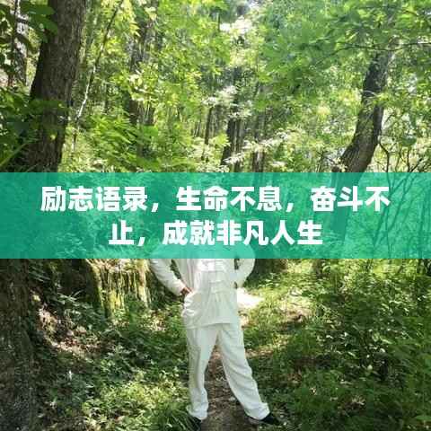 励志语录，生命不息，奋斗不止，成就非凡人生