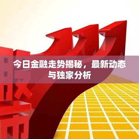 今日金融走势揭秘，最新动态与独家分析