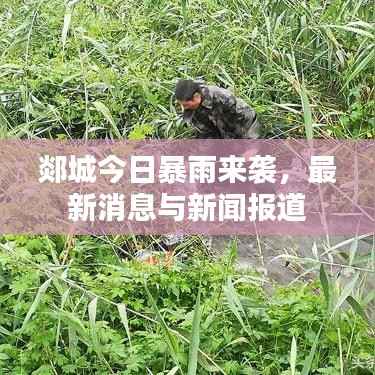 郯城今日暴雨来袭，最新消息与新闻报道