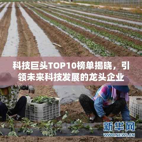 科技巨头TOP10榜单揭晓,引领未来科技发展的龙头企业