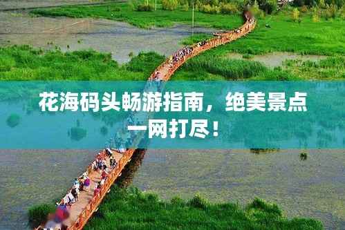 花海码头畅游指南，绝美景点一网打尽！