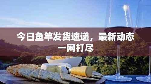 今日鱼竿发货速递，最新动态一网打尽