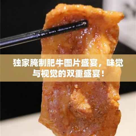 独家腌制肥牛图片盛宴，味觉与视觉的双重盛宴！