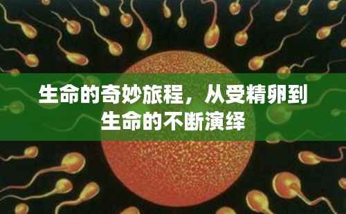 钗荆裙布 第2页