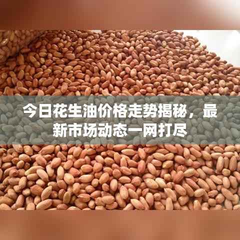 今日花生油价格走势揭秘，最新市场动态一网打尽