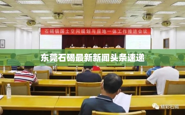 东莞石碣最新新闻头条速递