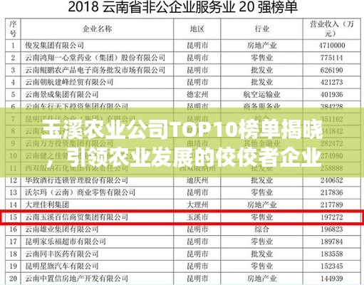 玉溪农业公司TOP10榜单揭晓，引领农业发展的佼佼者企业