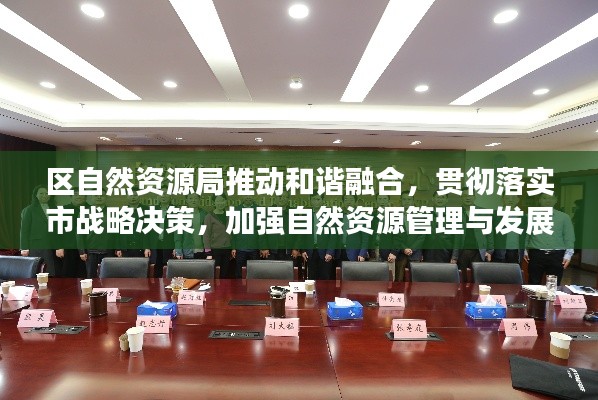 区自然资源局推动和谐融合，贯彻落实市战略决策，加强自然资源管理与发展