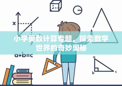 小学奥数计算专题，探索数学世界的奇妙奥秘