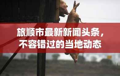 旅顺市最新新闻头条，不容错过的当地动态