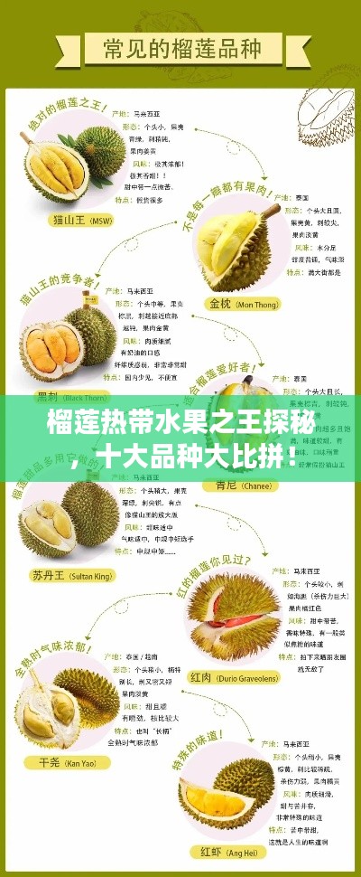 榴莲热带水果之王探秘，十大品种大比拼！