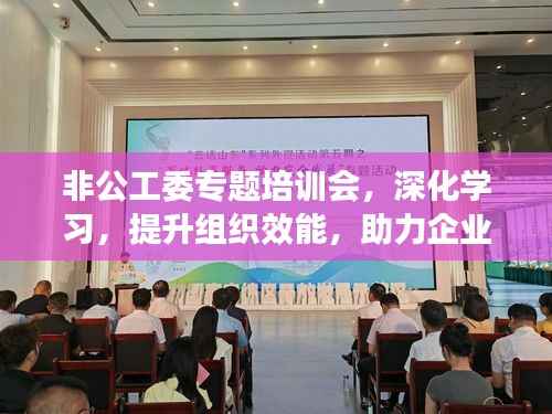 非公工委专题培训会，深化学习，提升组织效能，助力企业发展新篇章