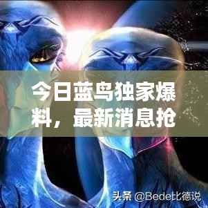 今日蓝鸟独家爆料，最新消息抢先看！