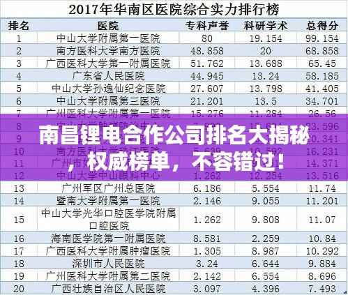 南昌锂电合作公司排名大揭秘，权威榜单，不容错过！