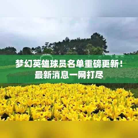 梦幻英雄球员名单重磅更新！最新消息一网打尽