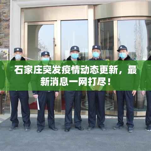 石家庄突发疫情动态更新，最新消息一网打尽！