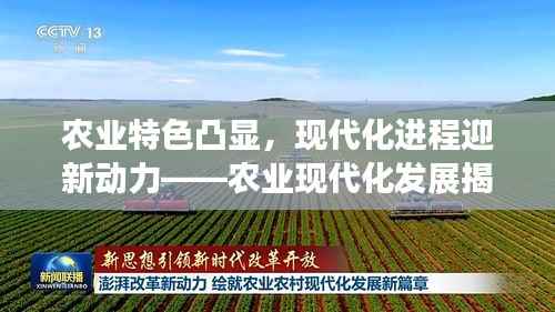 农业特色凸显，现代化进程迎新动力——农业现代化发展揭秘！