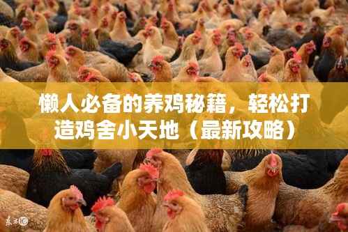 懒人必备的养鸡秘籍,轻松打造鸡舍小天地(最新攻略)
