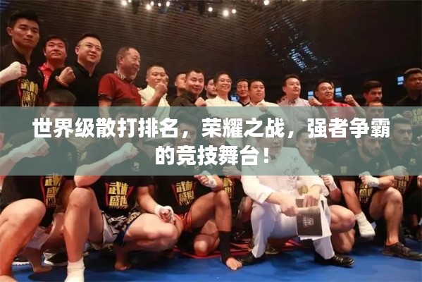 世界级散打排名，荣耀之战，强者争霸的竞技舞台！