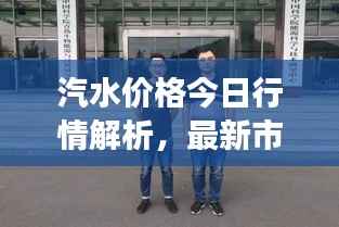 汽水价格今日行情解析，最新市场动态一网打尽！