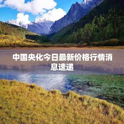 中国央化今日最新价格行情消息速递