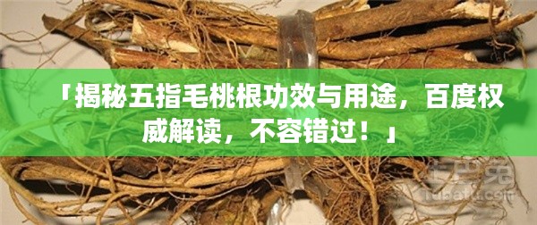 南辕北辙 第2页