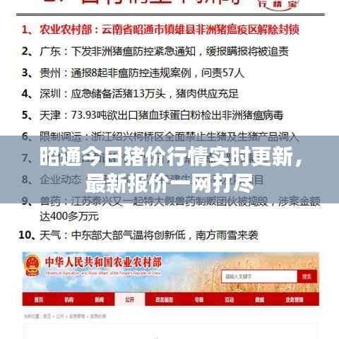 昭通今日猪价行情实时更新，最新报价一网打尽