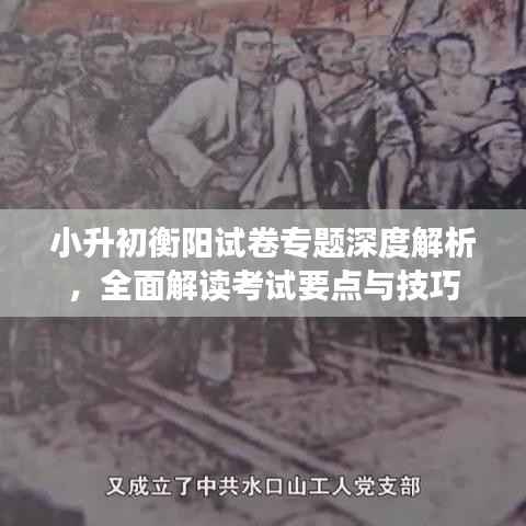 小升初衡阳试卷专题深度解析，全面解读考试要点与技巧