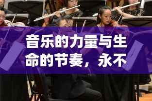音乐的力量与生命的节奏，永不断的琴弦之魅力