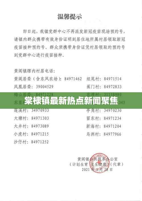 棠棣镇最新热点新闻聚焦