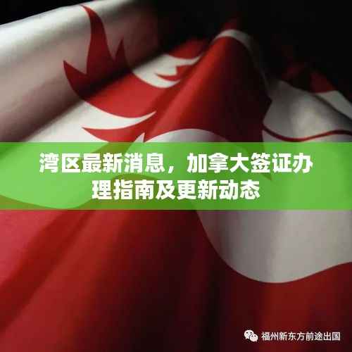 湾区最新消息，加拿大签证办理指南及更新动态