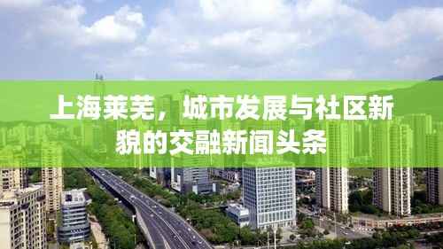 上海莱芜，城市发展与社区新貌的交融新闻头条