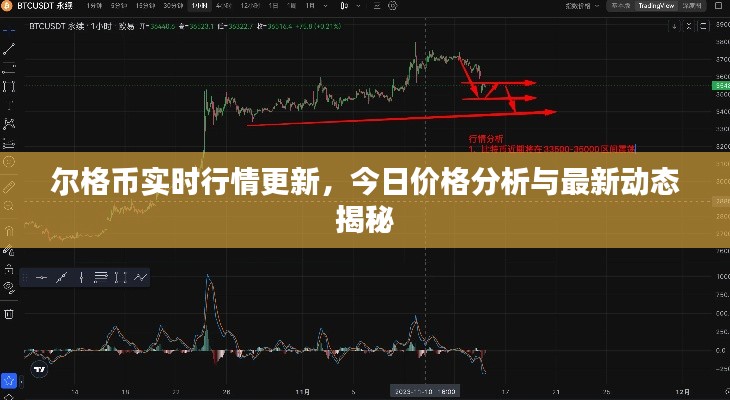 尔格币实时行情更新，今日价格分析与最新动态揭秘