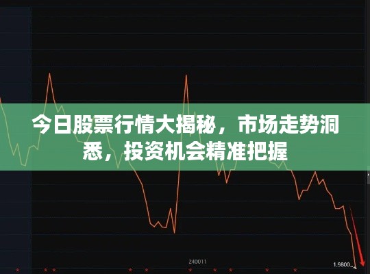 今日股票行情大揭秘，市场走势洞悉，投资机会精准把握