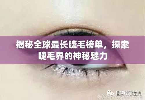 揭秘全球最长睫毛榜单，探索睫毛界的神秘魅力