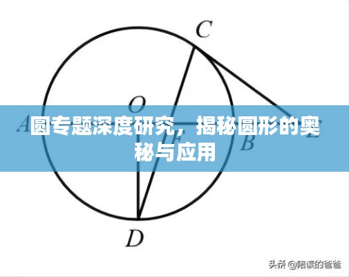 圆专题深度研究，揭秘圆形的奥秘与应用