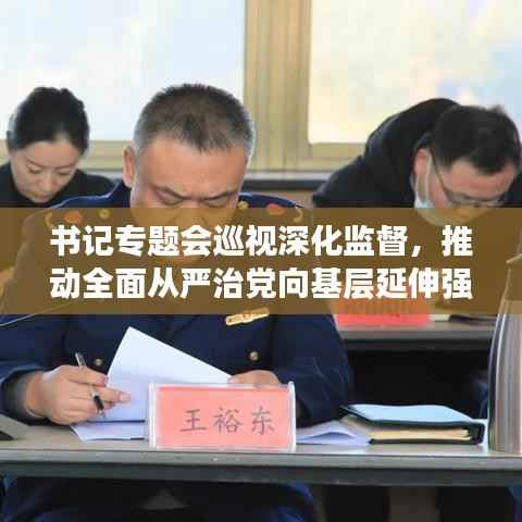 书记专题会巡视深化监督,推动全面从严治党向基层延伸强化党内监督力度