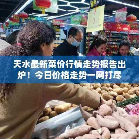 天水最新菜价行情走势报告出炉！今日价格走势一网打尽