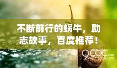 不断前行的蜗牛，励志故事，百度推荐！
