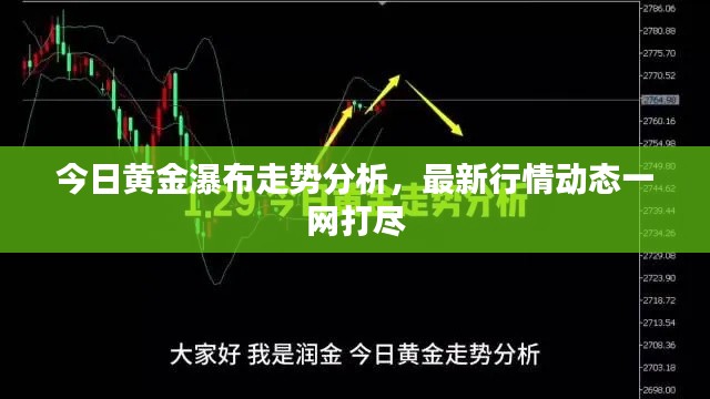 今日黄金瀑布走势分析,最新行情动态一网打尽