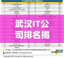 武汉IT公司排名揭秘，十大领先企业榜单